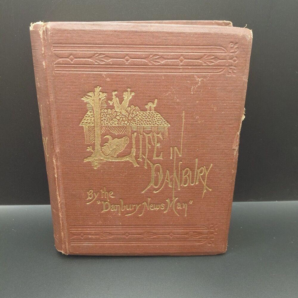 Life in Danbury : Being A Brief but Comprehensive Record... 1873
